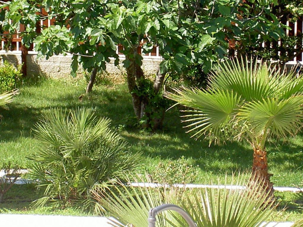 מלון פסטום Baia Del Sole מראה חיצוני תמונה